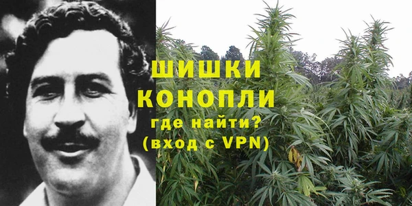 jwh Алзамай