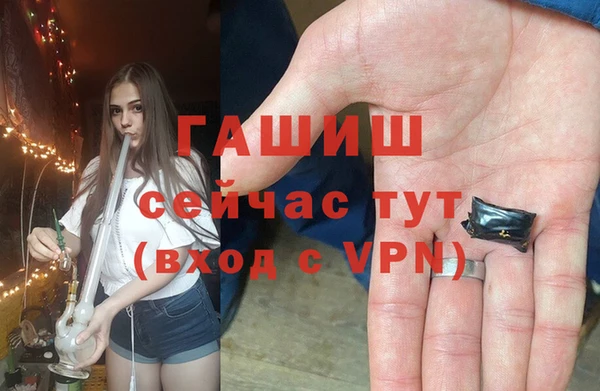 крисы Абаза