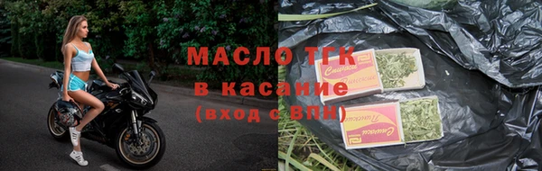 крисы Абаза