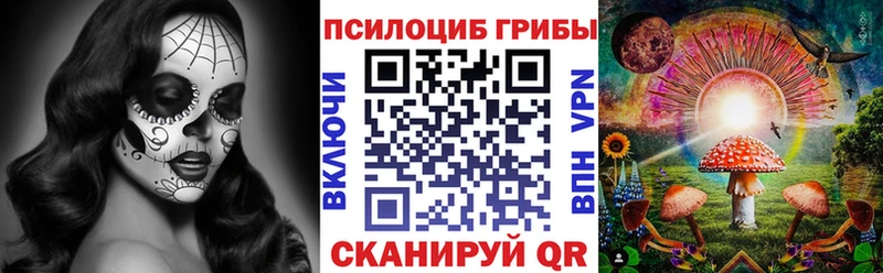 Галлюциногенные грибы Psilocybe  блэк спрут онион  Зарайск 